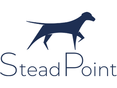 SteadPoint Insurance